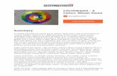 Y COLOURADO - A Colour Wheel Game · 'Colour Wheel'. Having an understanding of the colour wheel would deﬁnitely help! Take a 2D Print of either 2 or 3 Tiered Colour wheel (supplied