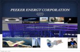 PEEKER ENERGY CORPORATION - Internet Romanescinternetromanesc.com/website/pec/executives.pdf · In 1991 the hydrogen generation “on demand” was added to form the power division.