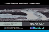 Galapagos Islands, Ecuadorstorage.googleapis.com/wzukusers/user-17980936/documents...Gulliver Expeditions Juan L. Mera y Calama, Quito - Ecuador Galapagos Islands, Ecuador • General