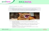 Bad breath in cats · Bad breath often indicates an underlying medical problem. Take your cat for a check-up if they have bad breath. General information and causes Bad breath often