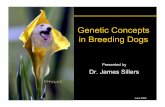 Genetic Concepts in Breeding Dogs · Dominant Traits Deep chest Prosternum Straight Backline ... Dominant Traits Weight Body Height Compact Foot Low-set Ears Long Head Wide Ear Leather