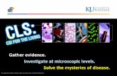 Gather evidence. Investigate at microscopic levels. Solve ...€¦ · Clinical Laboratory Science (CLS) really could be considered "C.S.I. for the Living". CLS professionals play