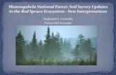 Stephanie J. Connolly Forest Soil Scientistnesmc/2013/Connolly_USGSTroyNESCM2013_sm.pdf · 2007 – the MNF starts planning projects in the Upper Greenbrier Watershed Watershed Restoration