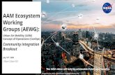 AAM Ecosystem Working Groups (AEWG) · AAM Ecosystem Working Groups (AEWG): Urban Air Mobility (UAM) Concept of Operations (ConOps) Community Integration Breakout. July 10. th, 2020