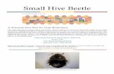 Small Hive Beetle - ag.utah.gov · hive beetles are present in late winter or early spring when mild temperatures may persist and result in successful beetle reproduc-tion earlier