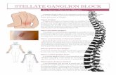 STELLATE GANGLION BLOCK - PatientPopSTELLATE GANGLION BLOCK For Severe Pain from Shingles A Stellate Ganglion Block is an outpatient procedure for neurogenic pain. One of the conditions
