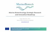 Marine Biotechnology Strategic Research and …...Short-term (2016-2020) Long-term (2020-2030) Organisms from extreme environments and hot spots Sub-theme Target sources of marine