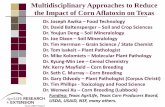 Multidisciplinary Approaches to Reduce the Impact of Corn ...maizeandgenetics.tamu.edu/presentations/2009 Plant... · Multidisciplinary Approaches to Reduce the Impact of Corn Aflatoxin