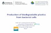 Production of biodegradable plastics from bacterial cells · Luiziana Ferreira da Silva Laboratory of Bioproducts Institute of Biomedical Sciences University of São Paulo Brazil