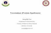 Translation (Protein Synthesis) During Protein Synthesis Attachment of Amino acid to tRNA is the critical