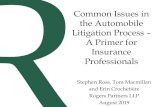 Common Issues in the Automobile Litigation Process A ......Common Issues in the Automobile Litigation Process – A Primer for Insurance Professionals Stephen Ross, Tom Macmillan and
