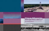 Vaca Muerta Megaproject - ejes.org.ar · North America and makes Argentina the third country, after the United States, and Canada, to reach commercial development. 2 Since 2011, as