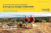 Emergency Budget 2020/2021 consultation document...2020/06/19  · severe revenue challenge over the coming year. We consulted on the Annual Budget 2020/2021 in February/March 2020,