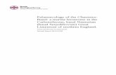 Palaeoecology of the Chaetetes Band: a marine biostrome in the ... · study. A poster (Dean, 2006) complements this report. A copy, with illustrations of Chaetetes sp. and Diphyphyllum