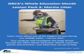 ORCA’s Whale Education Month Lesson Pack 3: Marine Litter · The Teacher’s activity sheets are below, but they are also provided as separate documents for students for ease of