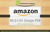 2020 Amazon MLS-C01 Dumps| Get Free MLS-C01 Question Answers