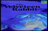 Velveteen Rabbit Study Guide - Western Canada Theatre The velveteen rabbit changes into a real rabbit