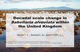 Decadal scale change in Sabellaria alveolata within the ... · Conclusions: Introduction Methodology Results Discussion Conclusion 1. S. alveolata has not undergone a northwards range