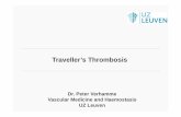 Seminar 2015.6 - Verhamme - Traveller's thrombosis Semi… · Microsoft PowerPoint - Seminar 2015.6 - Verhamme - Traveller's thrombosis.pptx Author: FVGompel Created Date: 12/7/2015