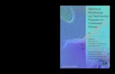 SEDIMENTS, MORPHOLOGY AND SEDIMENTARY PROCESSES ON ... · 42 Carbonate Systems During the Olicocene-Miocene Climatic Transition Edited by Maria Mutti, Werner E. Piller and Christian