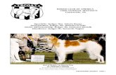 BORZOI CLUB OF AMERICA 1988 NATIONAL SPECIALTY … · 2019-08-09 · 1988 NATIONAL SPECIALTY - PAGE 3 Winners Dog / 1st Open Dog VERNOR VIEW’S RIMSKY-KORSAKOV HD 179299. 04-17-84.