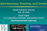 Root Structures, Functions, and Growthccag-eh.ucanr.edu/files/241480.pdf · 2/25/2016  · Develop from tap root, form network of long, untapered roots similar to ropes • Branching,