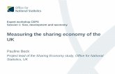 Analysing the Sharing Economy...• Capturing sharing economy businesses in some of our established business surveys, such as the Annual Business Survey, E-commerce Survey and Financial
