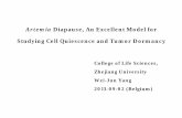 Artemia Diapause, An Excellent Model for Studying Cell ... · During the process, cellular dormancy can occur when tumor cells enter a state of quiescence through a G0 arrest of the
