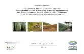 Forest Protection and Sustainable Forest Management in ... · SFF State Forest Farm SFM Sustainable Forest Management SG-SFMP Sino-German Project Sustainable Forest Management SoFE