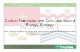 Carbon Nanotube and Cellulose-Based Energy Storage · Dr.Victor Pushparaj Dr. M. Shaijumon Dr. Swastik Kar. Funding Sources • NSF award DMR-0303174 • NSF Materials World Network: