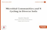 Microbial Communities and N Cycling in Diverse Soils · 2018-06-13 · David D. Myrold Department of Crop and Soil Science Oregon State University Microbial Communities and N Cycling