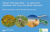 Global Yield Gap Atlas an agronomic database with local ...€¦ · Can yield gap analysis be used to inform R&D prioritisation? Global Food Security (In Press). Timsina J, Wolf J,