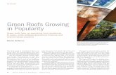 Green Roofs Growing in Popularity - Wood Design & …wooddesign.dgtlpub.com/2013/2013-03-31/pdf/Green_Roofs.pdf2013/03/31  · Green Roofs Growing in Popularity Green roofs liven up