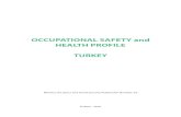 OCCUPATIONAL SAFETY and HEALTH PROFILE TURKEY · This Occupational Safety and Health Profile is a further step in Turkey’s ongoing efforts to improve its na-tional occupational