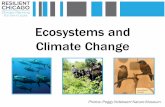 Ecosystems and Climate Change - University Of Illinois · tree species northward. Increased vulnerability due to fire, insect infestation, drought, and disease outbreaks. Climate