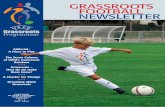 GRASSROOTS FOOTBALL NEWSLETTER - UEFA · A MAXI-PITCH IN THE NETHERLANDS. GIVING ... a presentation by Jim Fleeting high-lighted one of the key areas broached ... TO THE GAME AT GRASSROOTS