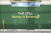 THE CELL: Seeing is Believing! · Anton van Leeuwenhoek ... Published a book: Micrographia Viewed cork cells through the first microscope . Anton van Leeuwenhoek 9 years later 1674