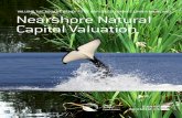 Nearshore Natural Capital Valuation · natural capital. The lack of market incentives and public policy to indicate the full value of ecosystem services is a key contributor to the