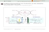 )H, and Hydrogen Peroxide - Ewha Womans Universitycbs.ewha.ac.kr/pub/data/17-2018_06_ChemPhotoChem_2018_2... · 2018-12-26 · the hydrogen peroxide species(H2O2).[18–20] The flow