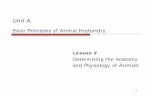 Unit A A Lesson 2 Anatomy... · 2017-03-09 · 1 Unit A Basic Principles of Animal Husbandry Lesson 2 . Determining the Anatomy . ... It protects the internal organs, helps regulate