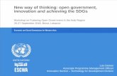 A New Way of Thinking: Open Government, Innovation and ... · New way of thinking: open government, innovation and achieving the SDGs Workshop on Fostering Open Government in the