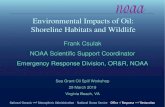 Environmental Impacts of Oil: Shoreline Habitats and Wildlife · T/V Julie N spill heavy fuel oil September 1996 in the Fore River, Portland, Maine ... • Consumption of oiled food