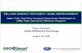 SELLING ENERGY EFFICIENT HOME IMPROVEMENT · ENERGY EFFICIENT HOME IMPROVEMENT FINANCING TO FIT ALL JOB SIZES IDEAL FOR LARGER HOME EFFICIENCY OR HOME PERFORMANCE with ENERGY STAR