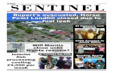 Vol. 9, Issue 8 - Price: £1 “serving St Helena and her ... · “serving St Helena and her community worldwide” Friday 22 May 2020. THE. SENTINEL. South Atlantic Media Services,