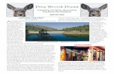Pine Brook Press Issues... · trees and plants to prevent erosion and to make the site attractive. You can help by writing a donation check to the Pine Brook Water District with Moving