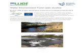 WEF case studies - Scottish Environment Protection Agency · Water Environment Fund case studies EcoCo LIFE project (Ecological Coherence) (multiple projects 2014-2019) EcoCo LIFE