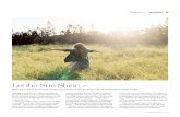 Let the Sun Shine - Click Magazine€¦ · Some photographers put a hand up to block the sun, ... in Maui, Hawaii. She photographs families and weddings and loves shooting ... and