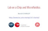 Lab on a Chip and Microfluidics - IES Institut …charlot/pres/c0.pdfLab On a Chip (laboratories on chip) LOC µTAS (micro Total Analysis System) Point of Care A lab-on-a-chip (LOC)