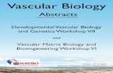Vascular Biology - NAVBO · Vascular Biology 2017 Vascular Imaging M012 Vessel remodeling during allantois develop-ment: Establishing embryo-placenta blood circulation Le, Henry Baylor