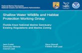 Shallow Water Wildlife and Habitat Protection Working Group · critical shallow water habitats in FKNMS. • Address concentrated uses that diminish or destroy habitats • Identify